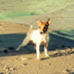 Meet your Posher, Patricia